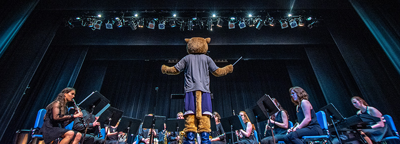 MSJ University Bands