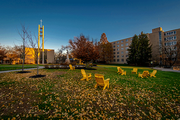 fall leaves in the quad