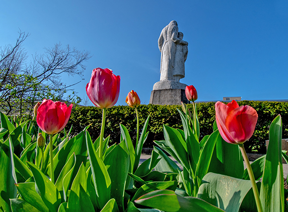 spring campus at the Mount.