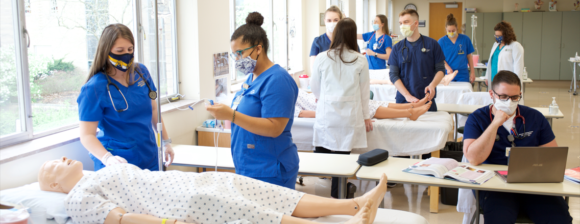 department of nursing